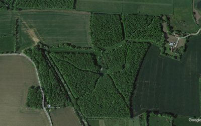 The Results of Planting the Biggest Broadleaf Wood in East Anglia
