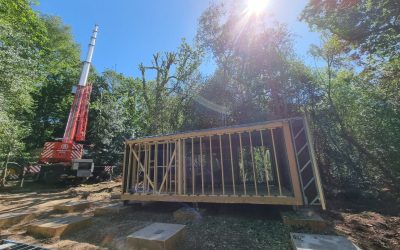 Arboriculture Care in Developing Woodland Lodges