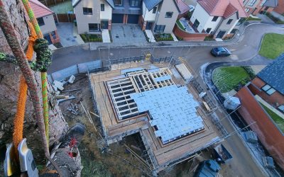 Arborculture Care on Development Sites