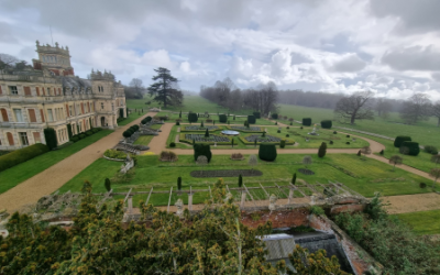 Management & Arboricultural Work on Special Trees